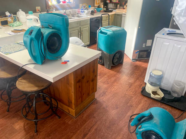 Best Local water damage restoration  in Hennessey, OK