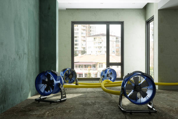 Best Water damage restoration insurance claims  in Hennessey, OK